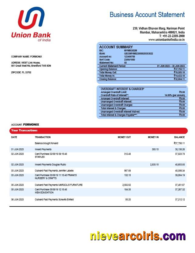 Union Bank of India business statement